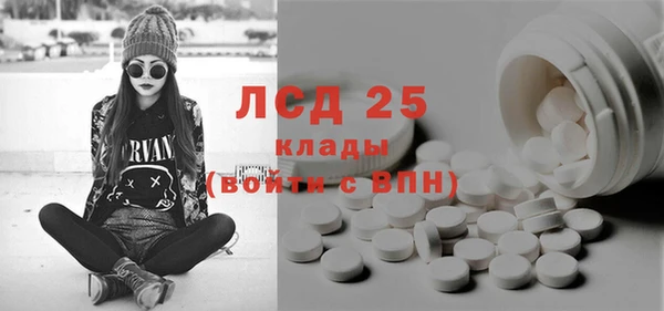 СК Алексин