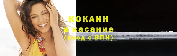 соль ск Алзамай