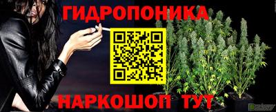 сатива Берёзовский
