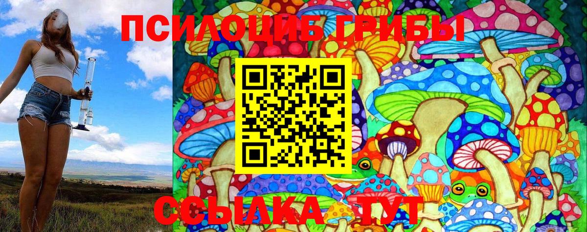 Псилоцибиновые грибы Magic Shrooms Гуково