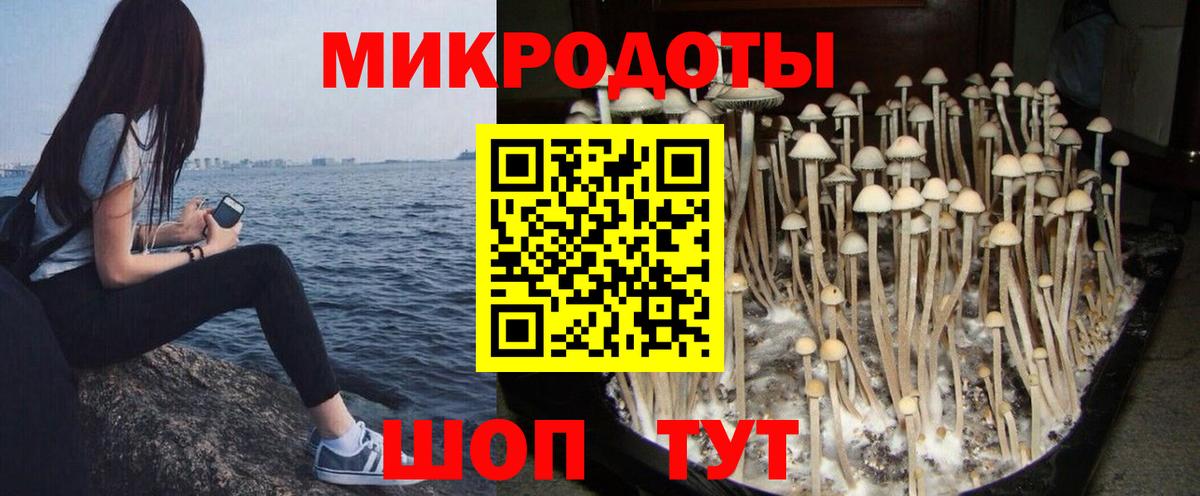 Псилоцибиновые грибы мухоморы  Вход с VPN  Гуково 